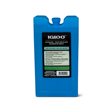 Load image into Gallery viewer, Holiday Beach Familypack