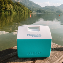 Lade das Bild in den Galerie-Viewer, Playmate Elite 15L Kühlbox (B-Ware)