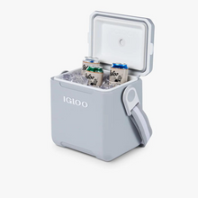 Load image into Gallery viewer, Tag Along Too Kühlbox - KUMPL