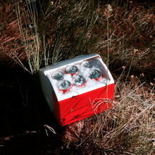 Lade das Bild in den Galerie-Viewer, Playmate Elite 6L Kühlbox. praktisch. Perfekt für Camping und Caravaning. Farbe: Rot. Igloo. Lifestylebild im Wald Nahaufnahme offene Box