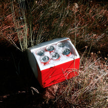 Lade das Bild in den Galerie-Viewer, Playmate Elite 6L Kühlbox. praktisch. Perfekt für Camping und Caravaning. Farbe: Rot. Igloo. Lifestylebild im Wald Nahaufnahme offene Box